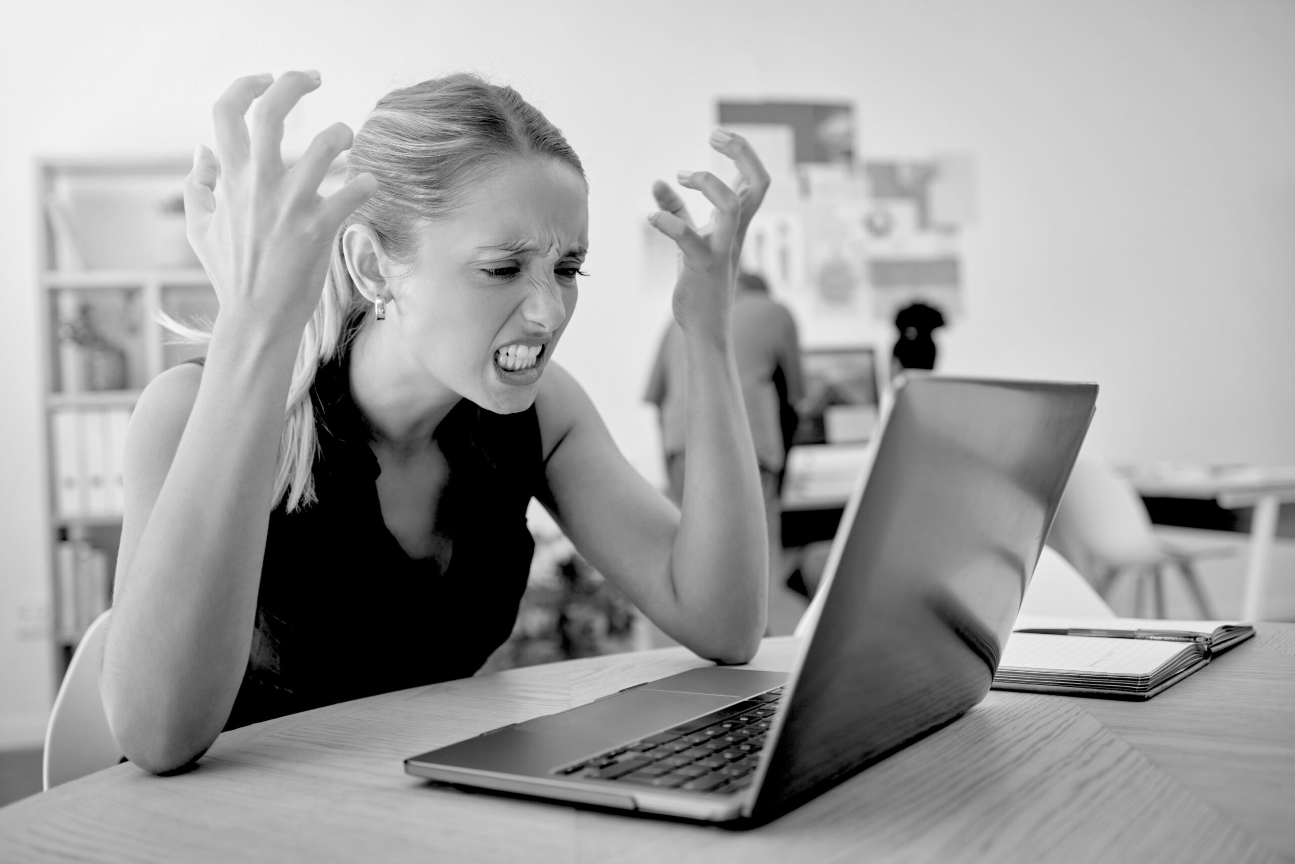 user-friendly website design in Red Deer by Set Your Sites