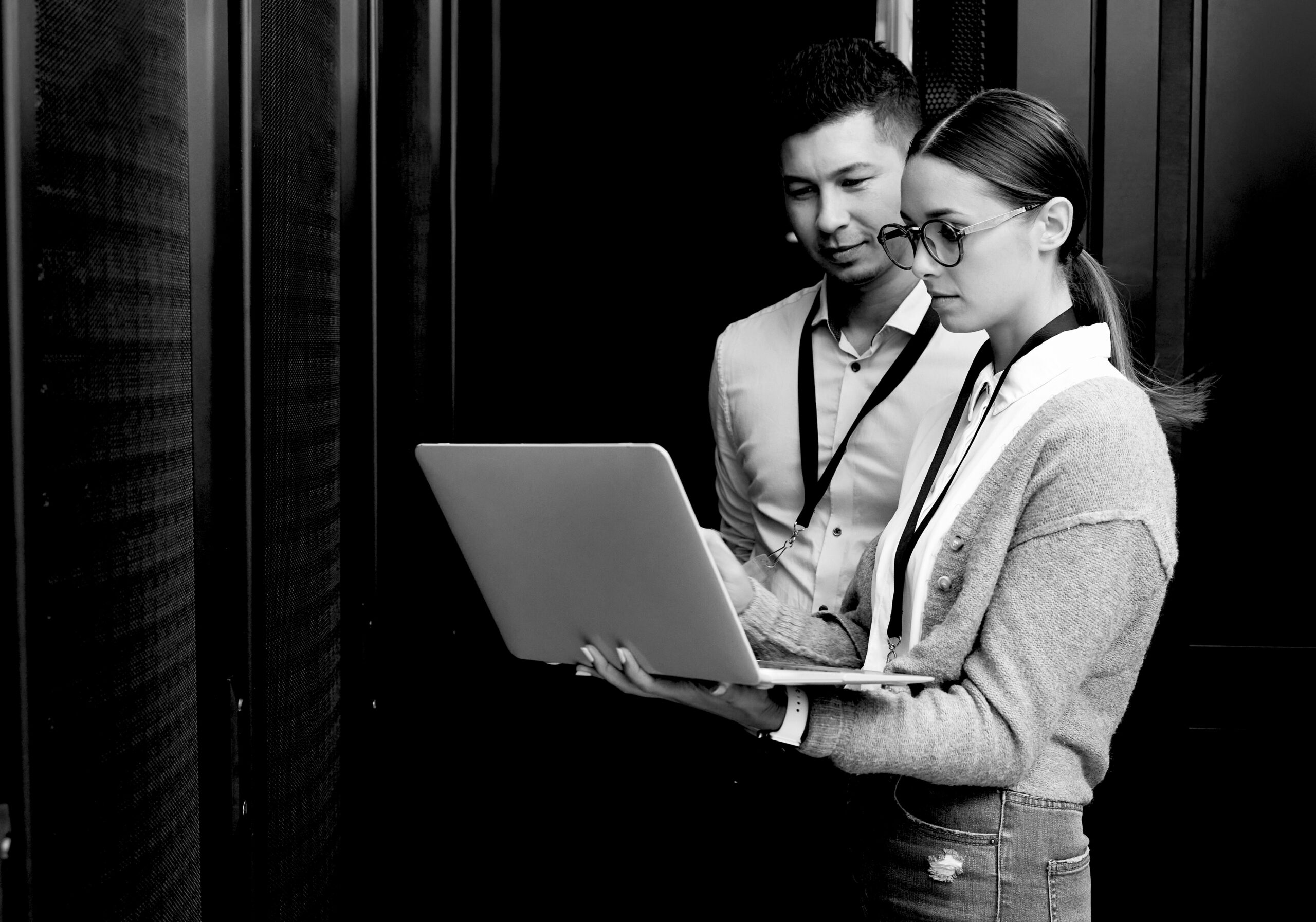 website hosting services in Red Deer